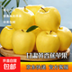 甘肅天水黃元帥蘋(píng)果 又名金帥蘋(píng)果黃香蕉蘋(píng)果核心產(chǎn)區 產(chǎn)地直發(fā) 帶箱12斤凈重11斤（大果80mm+）