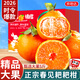 京地達正宗四川春見(jiàn)耙耙柑粑粑柑橘子5斤單果80mm+新鮮應季水果源頭直發(fā)