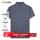 才子（TRIES）商務(wù)休閑POLO衫夏季短袖撞色條紋翻領(lǐng)T恤桑蠶絲柔順透氣時(shí)尚上衣 灰藍色 4XL 56(190/104A)
