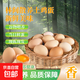京喜加【試用】農場(chǎng)直發(fā)新鮮鮮雞蛋鮮雞蛋谷物喂養當日現撿單枚40g 當日現撿鮮雞蛋10枚