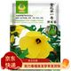鳳鳴雅世金花葵種子野芙蓉籽菜芙蓉黏干四季易種大花秋葵種觀(guān)賞食用花卉籽 金花葵一號種子10克約100粒