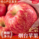 京地達蘋(píng)果山東煙臺蘋(píng)果水果 凈重8.5斤單果85mm棲霞紅富士源頭直發(fā)包郵