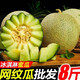 夜穆內(nèi)蒙牛三玫密瓏瓜網(wǎng)紋蜜瓜禮盒裝冰淇淋口感包郵靜岡玲瓏哈密瓜 網(wǎng)紋瓜3-4斤(實(shí)惠裝）