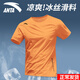 安踏冰絲速干t恤男士短袖夏季薄款圓領(lǐng)寬松透氣跑步健身上衣運動(dòng)服 肩標款-9礪黃色 L (175) 適合120-140斤
