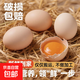 新鮮初生雞蛋笨雞蛋谷物飼養農家鮮雞蛋45g/枚現撿現發(fā)柴雞蛋 450g±50g10枚/盒