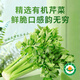 胡姬港灣農莊（OKIKI FARM）胡姬港灣農莊 有機芹菜 新鮮采摘 香味濃郁 約750g