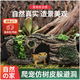 吾自然守宮躲避屋爬寵躲避洞穴仿真樹(shù)皮洞樹(shù)脂空心樹(shù)洞樹(shù)樁爬寵魚(yú)蝦樹(shù)屋 仿真樹(shù)皮-躲避洞