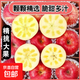 【年貨節禮盒】新疆阿克蘇王林蘋(píng)果青蘋(píng)果紅富士蘋(píng)果脆甜冰糖心 【禮盒】阿克蘇冰糖心 帶箱10斤（70-75mm）