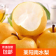 京喜加萊陽(yáng)南水梨 山東冰糖黃梨子脆甜多汁新鮮水果整箱 萊陽(yáng)南水梨凈重3斤4-6個(gè)單果220g+