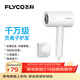 飛科（FLYCO）電吹風(fēng)機負離子家用大功率不傷發(fā)吹風(fēng)筒宿舍學(xué)生便攜可折疊 【1800W可折疊】奶白色