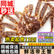 海仙津【活鮮】俄羅斯鮮活帝王蟹禮盒活蟹大螃蟹皇帝蟹年貨禮盒 4.0-4.5斤/只 【閃送?；睢? title=