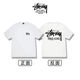 斯圖西（stussy）·斯圖西HONG KONG香港限定字母印花男女同款情侶短袖T恤 白色(香港限定) S