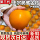 晟容果蔬融安脆蜜金柑金桔第三代金桔脆皮滑皮金桔新鮮應當季水果送人送禮 手挑3斤精選裝SSS級6號果(30-40個(gè)/斤)凈重2.5斤