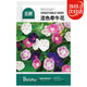 北蔬 牽?；ǚN子種苗可盆栽爬藤植物花卉種籽 混色牽?；ǚN子500粒