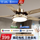 鉆石牌（DIAMOND）風(fēng)扇燈吊扇燈led客廳帶燈吊扇北歐現代簡(jiǎn)約變頻電風(fēng)扇三色變光YY [變頻]52寸吊桿五葉遙控-1級能效