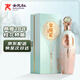 女兒紅十八年桂花林藏 半干型 紹興黃酒 500ml 典雅版 單瓶 熱賣(mài)