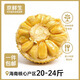 京鮮生海南老樹(shù)菠蘿蜜 20-24斤 凈重20斤+  生鮮水果 源頭直發(fā)