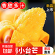海南小臺農芒芒果新鮮當季水果熱帶芒果現摘特產(chǎn)整箱批發(fā) 小臺芒凈重4.5-5斤單果60g+