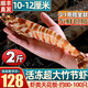 首鮮道斑節蝦特大海鮮竹節蝦鮮活急凍九節蝦生鮮蝦類(lèi)基尾蝦 80-100只 推薦款 2斤(凈重)