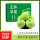 【年貨節禮盒】新疆青蘋(píng)果王林蘋(píng)果脆甜蘋(píng)果雀斑丑蘋(píng)果新鮮 蘋(píng)果帶箱8斤（果徑65-75mm）