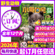小哥白尼野生動(dòng)物雜志2026年1.2/3月新【全年/半年訂閱/2025年可選】6-15歲中小學(xué)生青少年科普科普百科2024年過(guò)刊 【全年訂閱】26年1-12月+隨刊贈品