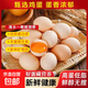 現撿現發(fā)農戶(hù)新鮮雞蛋正宗慢養谷飼鮮雞蛋現撿山雞蛋40g-45g 土雞蛋10枚