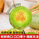 山東羊角蜜甜瓜新鮮水果5斤當季脆甜蜜瓜香瓜時(shí)令羊角脆整箱包郵 1根小瓜【貴在運費】