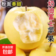 山東黃金奶油富士黃元帥帶箱9斤半冰糖新鮮美味可口牛奶蘋(píng)果煙 70mm+帶箱5斤 凈重4.5斤