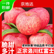 京地達洛川蘋(píng)果紅富士蘋(píng)果陜西新鮮水果整箱脆甜大果4.5斤80mm+源頭直發(fā)