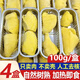 璐亦新鮮冷凍烤榴蓮泰國進(jìn)口冷凍金枕錫紙盒榴蓮肉裝無(wú)殼無(wú)核加熱即食 【無(wú)殼無(wú)核烤榴蓮】100g盒/*4