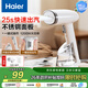 海爾（Haier）快出門(mén)Pro手持掛燙機23g/min爆炸蒸汽250ml升級拆卸水箱家用小型攜式平價(jià)旅行熨衣機HY-GW2502W