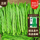 北蔬 扁架豆種子苗早熟四季豆寬豆角菜豆爬藤蔬菜種籽 扁架豆種子20g