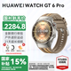 華為WATCH GT6 Pro【咨詢(xún)享優(yōu)惠】智能ECG手表全新騎行體驗21天超長(cháng)續航藍寶石玻璃&鈦合金 AX21A 46mm琥珀棕（棕色復合編織表帶）
