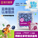 佳沃（joyvio） 云南藍莓14mm+ 12盒原箱裝 約125g/盒 新鮮水果禮盒