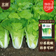 北蔬 快菜種子苗春季速生奶油小白菜蔬菜籽 奶油快菜種子10g約3000粒