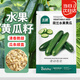 北蔬水果小黃瓜種子種苗無(wú)刺青瓜四季蔬菜種籽 荷蘭水果黃瓜種子30粒