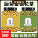 正宗特級胎菊王金銀花人工精選中藥材組合裝正品新貨干凈無(wú)硫泡水 【胎菊+金銀花組合】50g共2罐裝