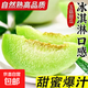 正宗海南玉菇甜瓜新鮮水果整箱當季香瓜蜜瓜冰淇淋瓜脆甜蜜瓜包郵 香甜玉菇甜瓜帶箱5-6斤【凈重4.5-5斤】