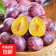 進(jìn)口智利法蘭西李子 甜蜜爆汁 新鮮采摘直達家 J 兩斤智利西梅（凈重）