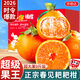 京地達正宗四川春見(jiàn)耙耙柑粑粑柑橘子9斤單果95mm+新鮮應季水果源頭直發(fā)