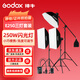 神牛（Godox） 攝影燈200-250W影室閃光燈鞋包服裝人像證件照影室拍攝補光燈影棚拍照燈套裝 【套裝6】E250閃光燈三燈A(小商品拍攝)