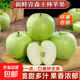 山東青蘋(píng)果薄皮酸甜王林青森瑞雪農家果園直發(fā)孕婦兒童水果 帶箱9斤 凈重8.5斤（70mm+）