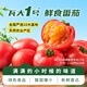 京鮮生&瓦大1號番茄沙瓤健康自然熟 減脂水果西紅柿 5斤單60g+源頭直發(fā)