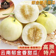 傾睦云南郁金香甜瓜 白皮蜜瓜白雪小香瓜脆甜軟糯小蜜罐甜瓜新鮮水果 4.5斤 精選大果【單果350g+】