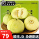趣覓鮮馬連莊甜瓜山東萊西特產(chǎn)蜜寶王小香瓜青島蜜蜂甜瓜新鮮水果 3斤裝約7個(gè)