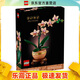 樂(lè )高（LEGO）10343      典雅蘭    積木拼插花卉居家擺件生日禮物