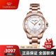 天王表(TIANWANG) 手表女霏系列鋼帶機械女表精致時(shí)尚簡(jiǎn)約腕表 玫瑰金色女表51034