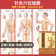 任選 針灸穴位掛圖鍼灸穴位掛圖/標準針灸穴位大掛圖/董氏奇穴與經(jīng)穴對照大掛圖 第五版 人民衛生出版社 針灸穴位掛圖