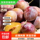 京喜加【東東農場(chǎng)專(zhuān)供】智利進(jìn)口西梅【放軟食用】水果李子高檔水果禮盒 優(yōu)選凈重500g 智利進(jìn)口新鮮西梅（越軟越甜）