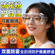 防花粉護目鏡近視眼可戴防風(fēng)沙過(guò)敏性結膜炎眼罩全封閉防塵防飛蟲(chóng) 【全封閉眼罩】防花粉過(guò)敏專(zhuān)用 1個(gè)裝